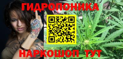 твердый Лесосибирск