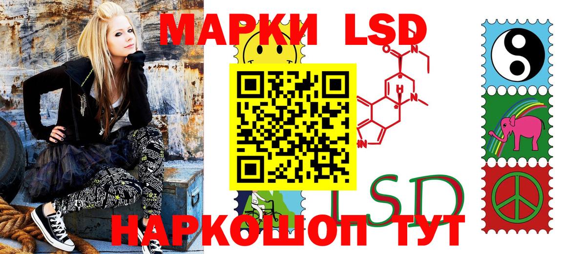 Наркотические марки  Наркотические марки 1500мкг  Вход с VPN  Елизово 